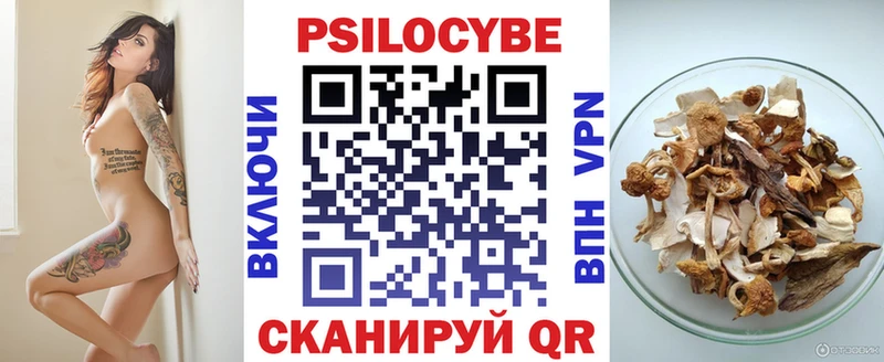 как найти закладки  Алапаевск  Псилоцибиновые грибы Cubensis 